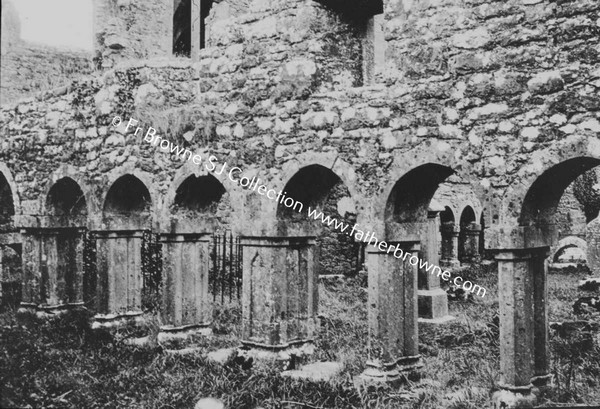 KILCONNELL FRIARY   IN THE CLOISTERS  SOUTH SIDE